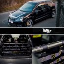 Clubsport Set - Strebe mit Netz für Ford Fiesta ST MK6
